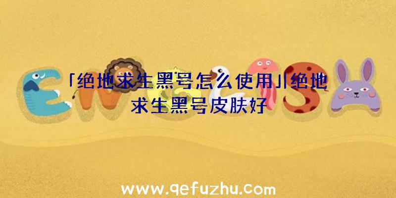 「绝地求生黑号怎么使用」|绝地求生黑号皮肤好
